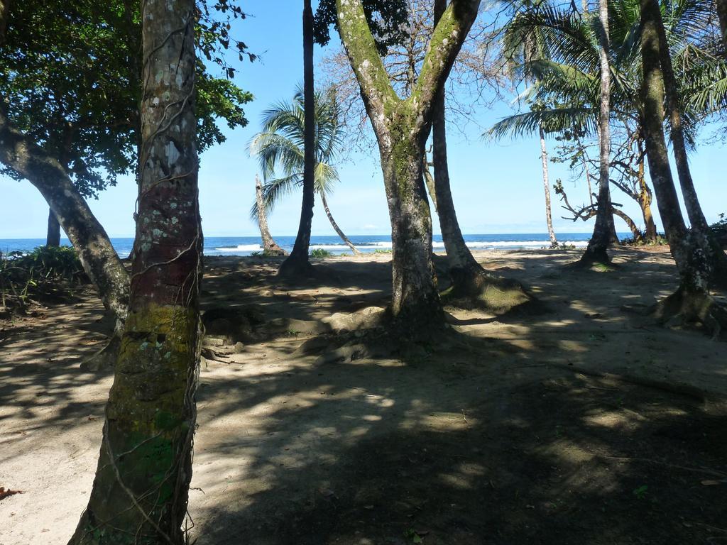 Yucca Beachfront Hotel Puerto Viejo de Talamanca Buitenkant foto