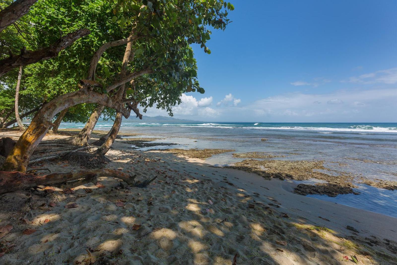 Yucca Beachfront Hotel Puerto Viejo de Talamanca Buitenkant foto