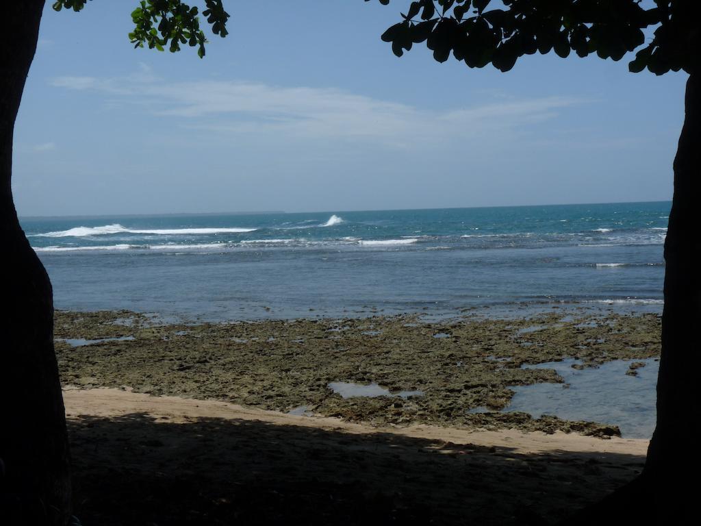 Yucca Beachfront Hotel Puerto Viejo de Talamanca Buitenkant foto
