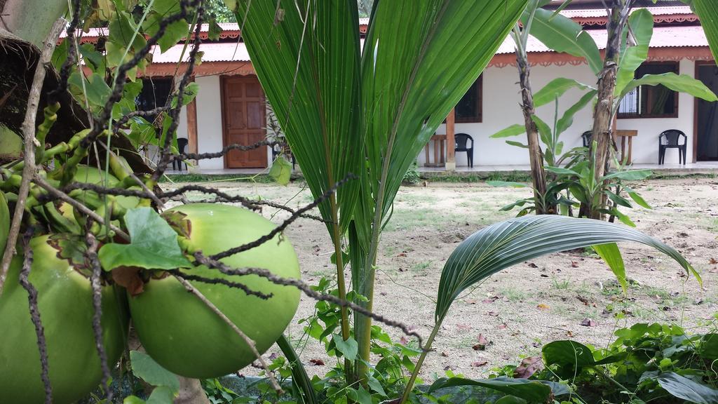 Yucca Beachfront Hotel Puerto Viejo de Talamanca Buitenkant foto