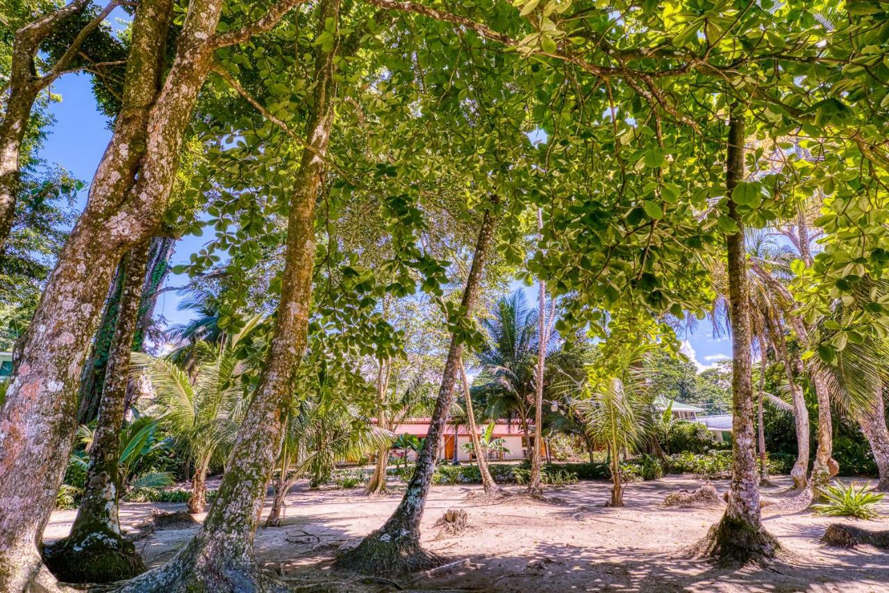 Yucca Beachfront Hotel Puerto Viejo de Talamanca Buitenkant foto